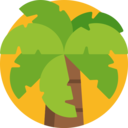 summertime,beach,summer,nature,tropical,botanical,palm tree ok 